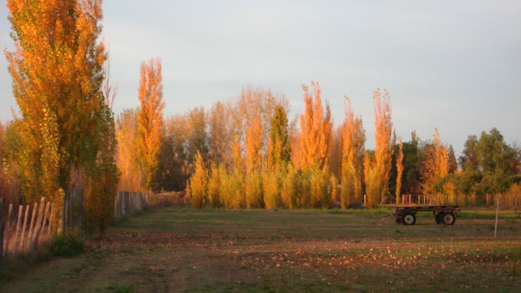 Posada Del Viajero San Rafael Exteriér fotografie