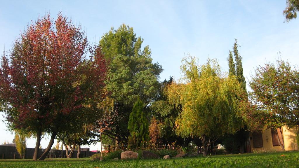 Posada Del Viajero San Rafael Exteriér fotografie