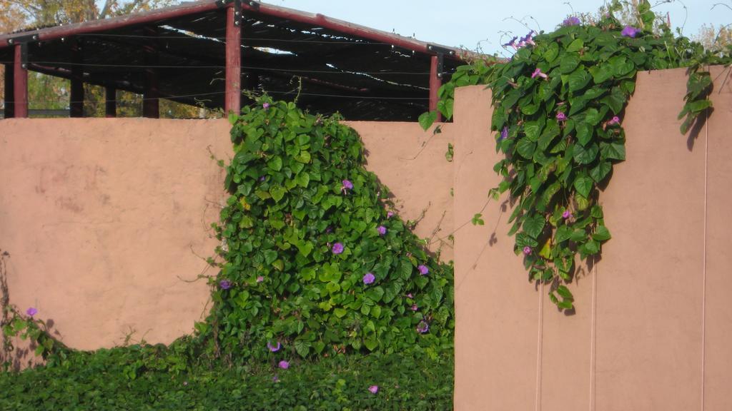 Posada Del Viajero San Rafael Exteriér fotografie