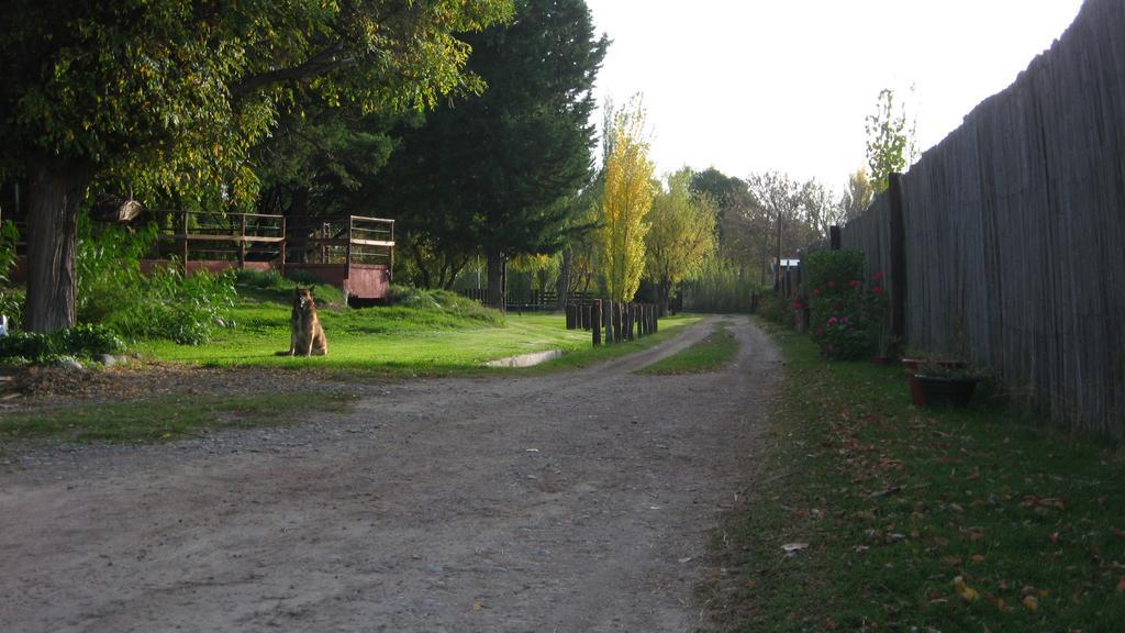 Posada Del Viajero San Rafael Exteriér fotografie